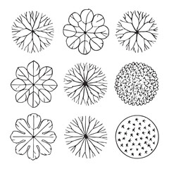 CAD Trees Top View Set &ndash; Landscape Design and Architectural Elements