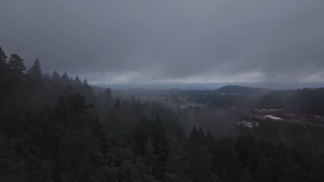 Victoria, Vancouver Island. Aerial view of cityscape.