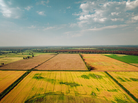 Aerial view of golden and green fields creating a patchwork quilt under a vast sky, framed by distant dark forests, Jasenovac, Croatia.