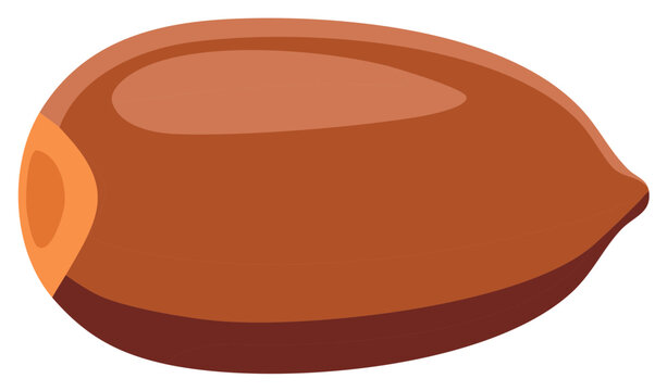 Brown flax seed vector illustration isolated healthy food ingredient graphic design element