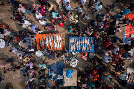 Bogura, Bangladesh - 10 February 2021: Aerial view of a bustling fish market where vibrant crowds gather around displays of silvery fish, casting long shadows on the sun-baked ground.