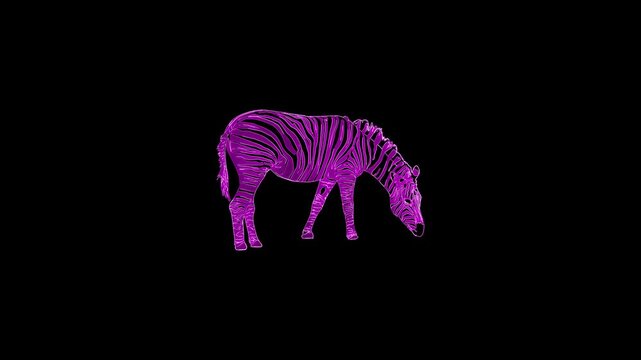Glowing Neon Zebra Eating Animation.
