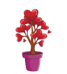 Potted Heart Plant for Love and Romance