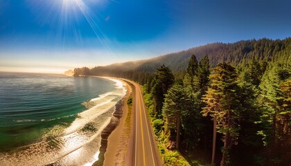 Obraz premium Exploring The Iconic Redwood Highway Experience