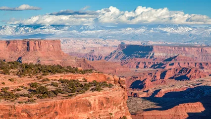 Fototapete Coral Buck Canyon Overlook Island in the Sky Canyonlands National Park Utah  © James Phelps JR