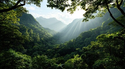 Lush green valley, sunlight streams through canopy creating dramatic light rays, framing the majestic mountains