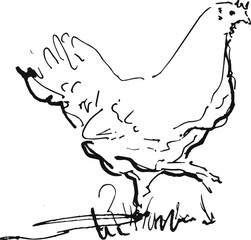 Hand Drawn Farm Hen Bird Standing Minimalist Sketch