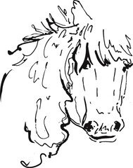 Elegant Minimalist Horse Head Portrait Loose Line Art