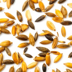 Scattered seeds on white background