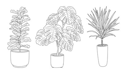 Clean black and white line art vector illustration of modern potted house plants isolated on transparent background for interior and decor design.
