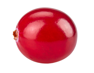 Glossy, round, red berry with stem remnant on black background