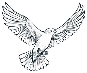 Obraz premium Elegant Illustration of a Soaring Bird with Detailed Wing Feathers