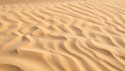 Rippled desert sand