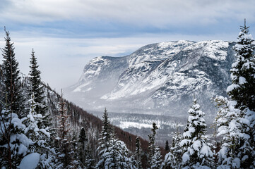 Snow covered trees and snowy valley seen from Dome mountain in Charlevoix, ZEC des martres, Quebec, Canada