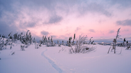 Frozen landscape around Pioui mountain at the end of a cold winter day, Grand-Jardins national park, QC, Canada