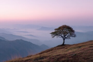 View of a single tree on a hill at dawn with mountains in the background