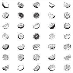 Lemon Slice Clip Art 