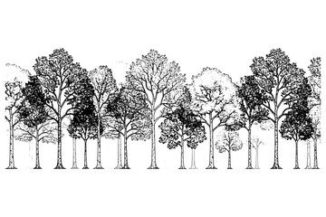 tree silhouette set,
Minimal CAD Tree Line Drawing &ndash; Wetland Forest Section for Landscape Design, Side View