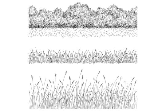 set of grass,
Minimal Forest Line CAD Set &ndash; Ground Cover and Grass Section for Architectural Elevations