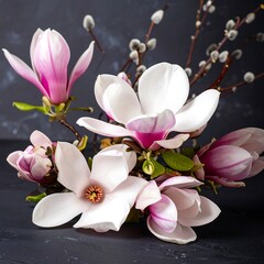 Spring magnolia blossoms