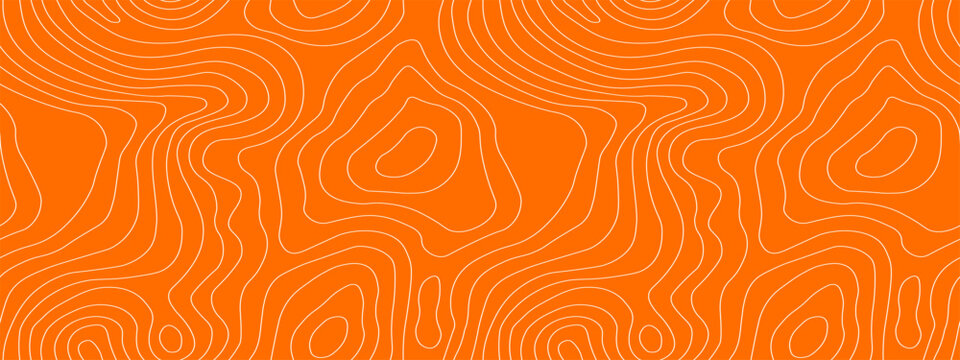 Salmon tuna sushi with meat pattern texture for fish abstract wood. Lines label seafood with red sardine package for art sketch fillet. Design background salmon with sashimi meat dish.