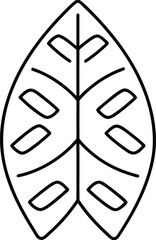 Butterfly Wing Texture