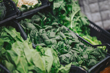 Deep green spinach and various leafy vegetables are displayed at a local market. Shoppers browse among the fresh produce on a sunny afternoon. The atmosphere is lively with vendors selling their goods