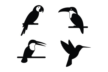 Obraz premium Tropical Exotic Birds Silhouettes Parrot Toucan and Hummingbird