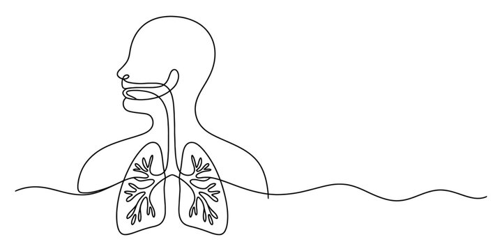 Continuous line drawing of human respiratory system Vector, illustration