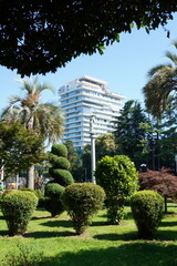 View of the garden with beautiful bushes and the tall building of the hotel.