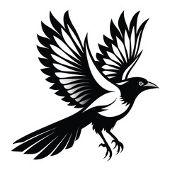 Fototapeta premium flying magpie bird line art silhouette vector illustration