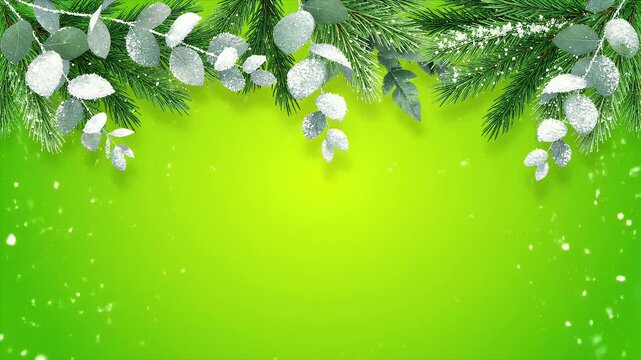 Festive winter border with snowy fir and eucalyptus leaves