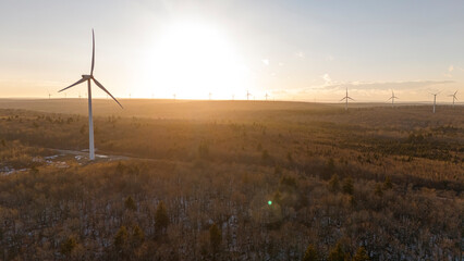 Winter wind farm landscape, New Brunswick, Canada. 