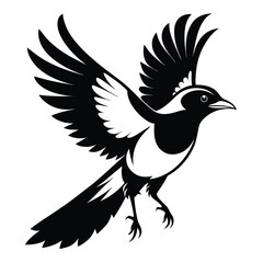 Obraz premium flying magpie bird line art silhouette vector illustration