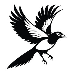Obraz premium flying magpie bird line art silhouette vector illustration
