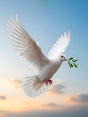 Obraz premium White Dove Of Peace Carrying Olive Branch Over Golden Horizon