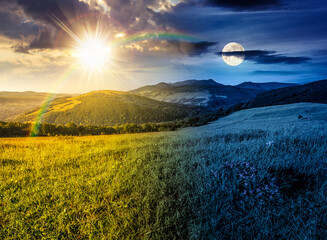 wild savory flowers on the grassy hillside meadow in mountain landscape. day and night time change...