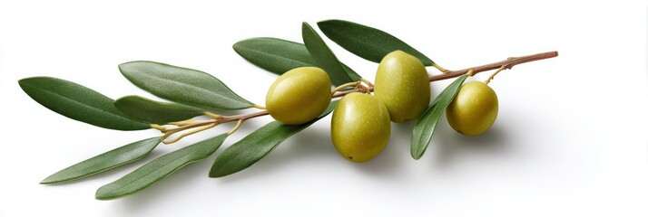 Fresh green olives on branch with leaves on white background