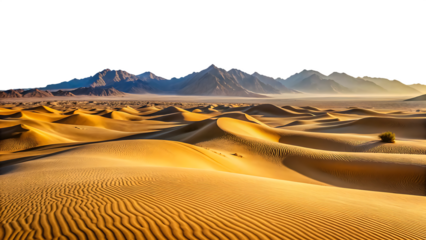Golden sand dunes under hazy mountain range isolated on a transparent background
