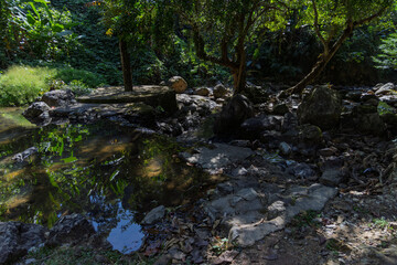clear forest stream with rocky banks, khao yai, thailand &mdash; sunlight filtering through trees
