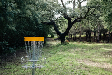 yellow discgolf basket in woods