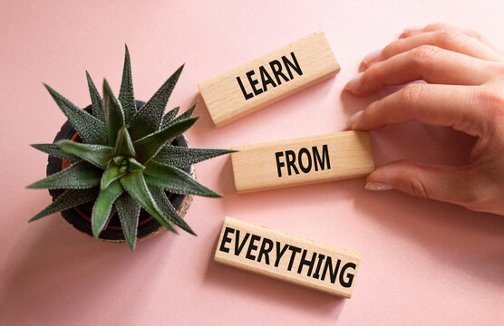 Learn from Everything symbol. Wooden blocks with words Learn from Everything. Businessman hand. Beautiful pink background with succulent plant. Business and Learn from Everything concept. Copy space. - Powered by Adobe