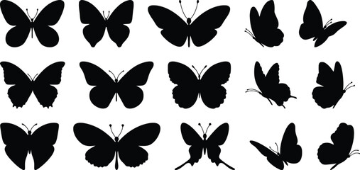 Collection of black butterfly silhouettes showing various wing patterns and species for nature insect lepidoptera design decorative elements illustration © Sriyani
