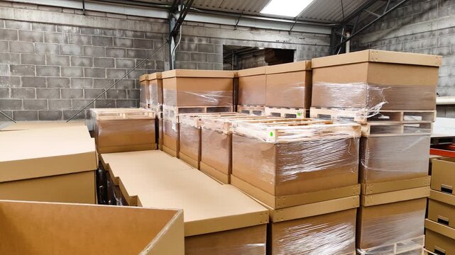 Fabrica de empaques de cart&oacute;n y tarimas de madera para log&iacute;stica industrial 