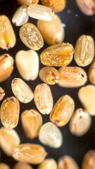 Close-up microscopic grains