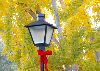 Close up on a vintage street light with Christmas ribbon tied on as a bow, green and yellow autumn leaves in background on a sunny afternoon.