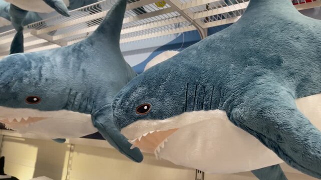 Display full of blue and white stuffed animal sharks