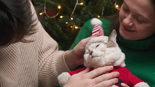 Cozy holiday scene features romantic couple sitting close together by decorated tree holding relaxed cat in Santa style costume while they smile stroke fur and kiss pet