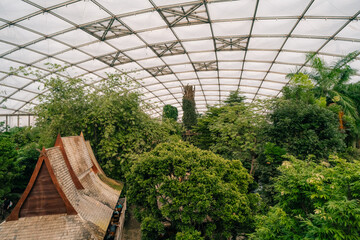 Fototapeta premium Leipzig, Germany - Dec 2 2025 Leipzig Zoo Tropical Rainforest inside Gondwanaland greenhouse