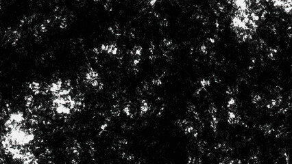 Abstract texture of scratches, cracks, chips. Grunge black and white background. Grunge black and white texture. 